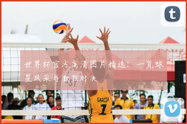 世界杯官方高清图片精选：一览球星风采与激烈对决